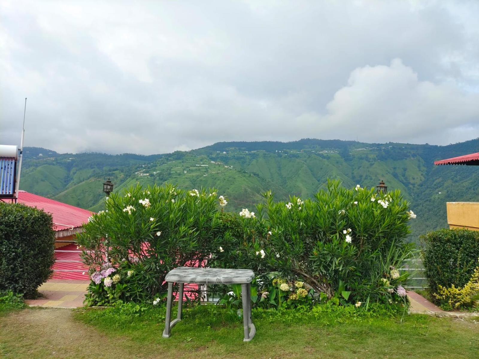 Little Heart Resort Chail ภายนอก รูปภาพ