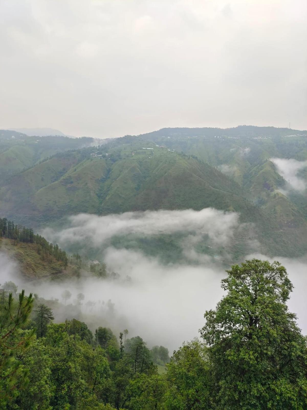 Little Heart Resort Chail ภายนอก รูปภาพ