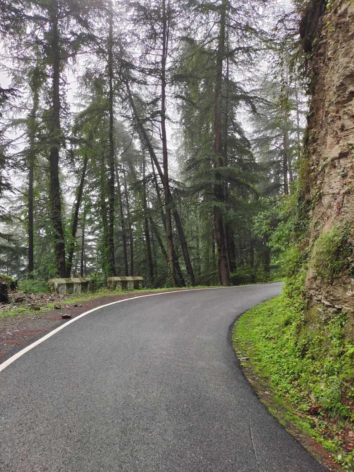 Little Heart Resort Chail ภายนอก รูปภาพ